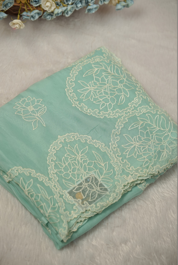 Organza Saree TSA01134