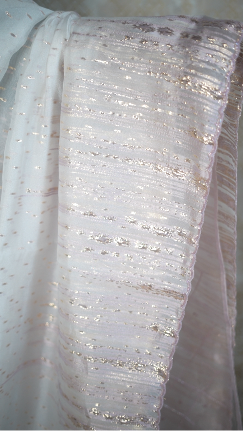 Turkish Organza Saree TSA5783