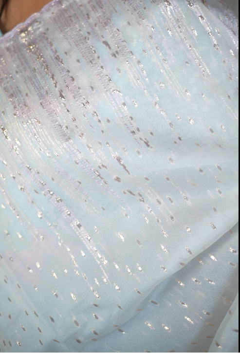 Turkish Organza Saree TSA5783