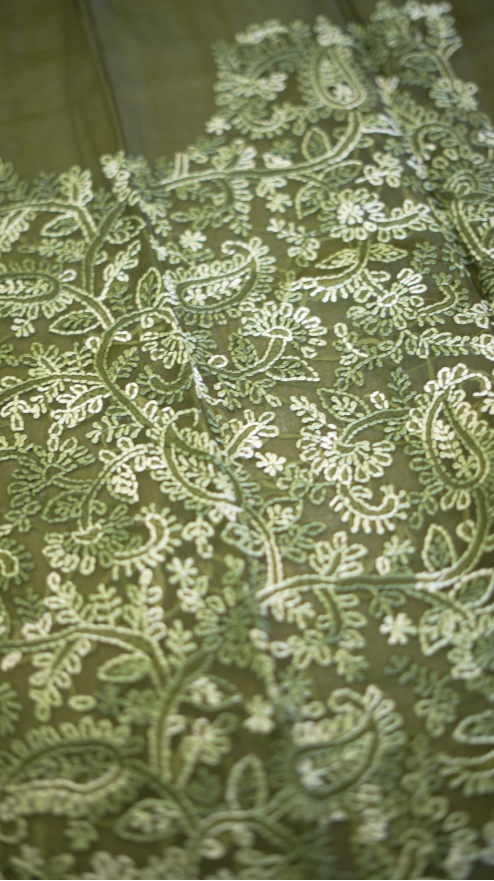Organza Salwar TSS5759