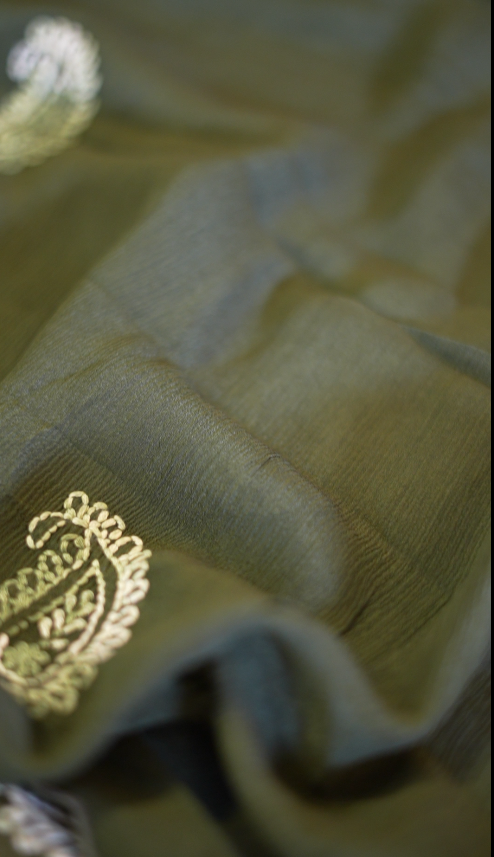 Organza Salwar TSS5759