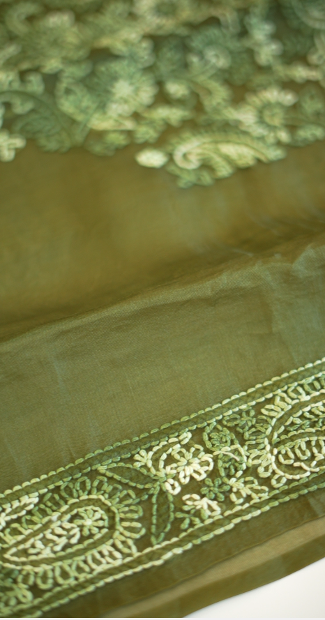 Organza Salwar TSS5759