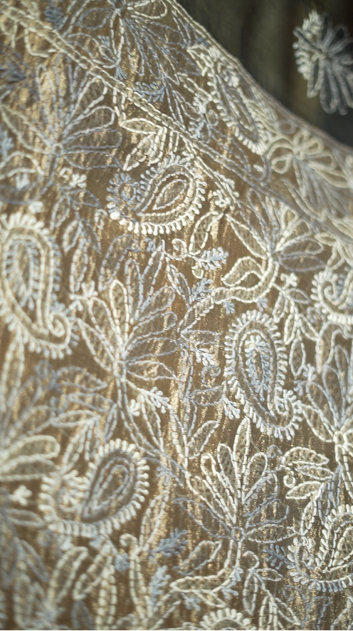 Organza Saree TSA6060
