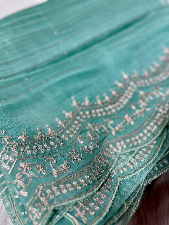 Organza Saree TSA2079