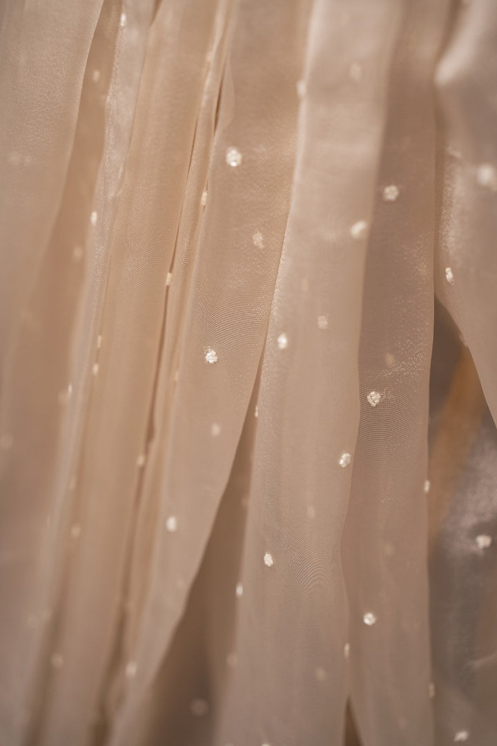 Organza Saree TSA320