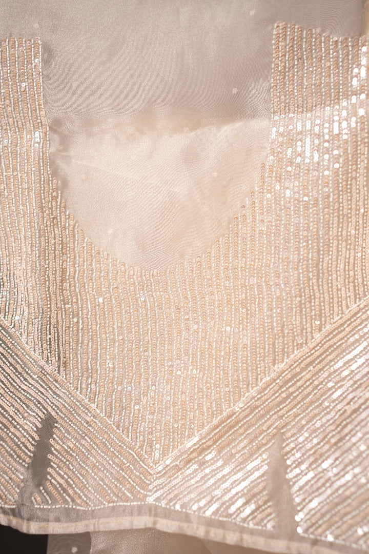 Organza Saree TSA320