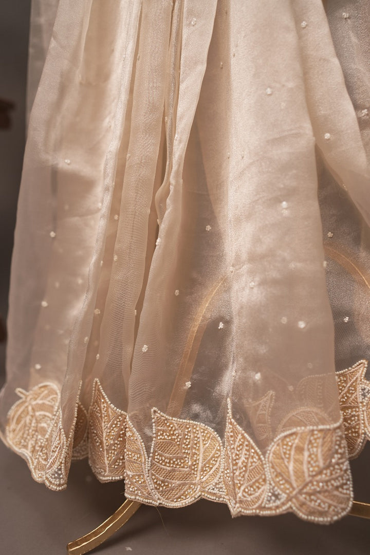 Organza Saree TSA320