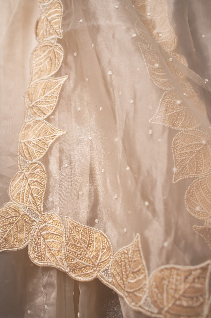 Organza Saree TSA320
