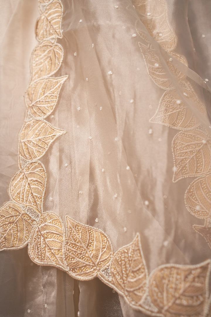 Organza Saree TSA320