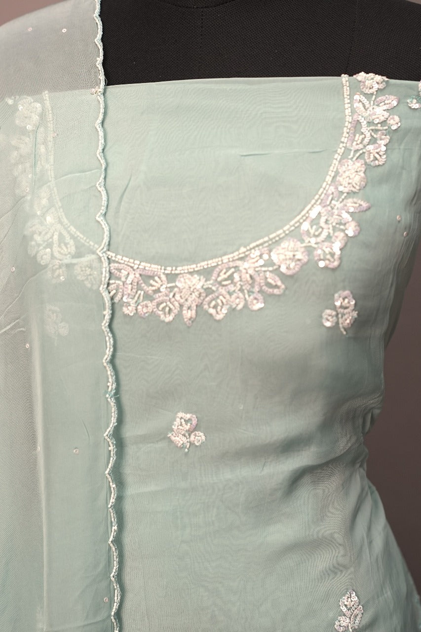 Viscose Organza Salwar TSS3025