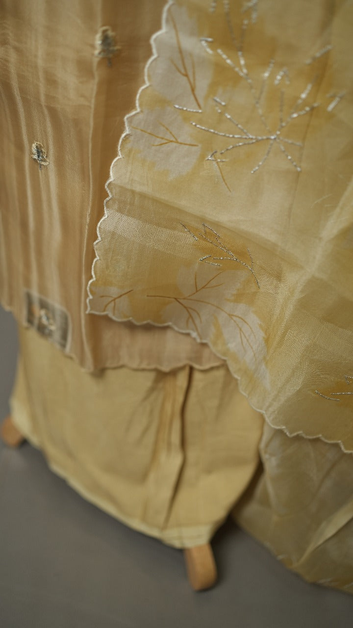 Organza Salwar TSS3571