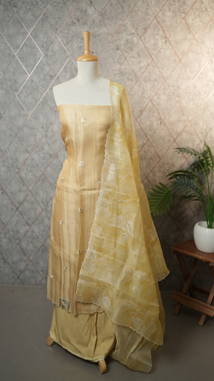 Organza Salwar TSS3571