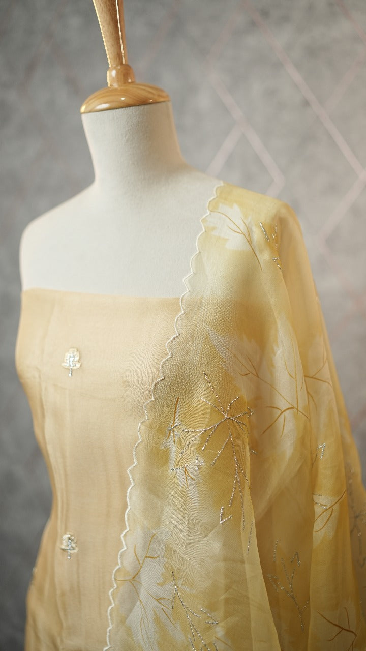 Organza Salwar TSS3571