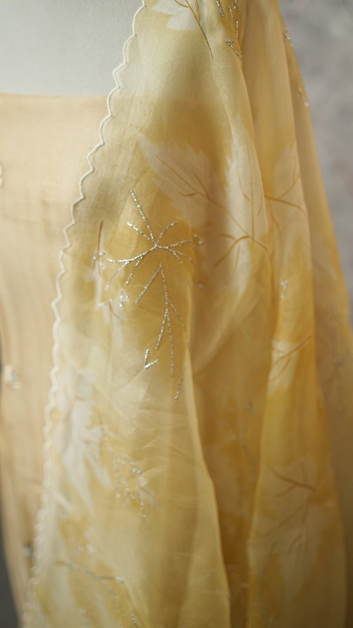 Organza Salwar TSS3571