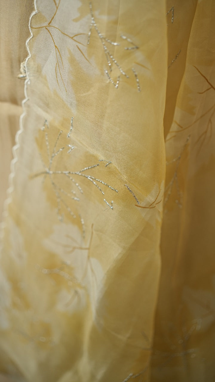 Organza Salwar TSS3571