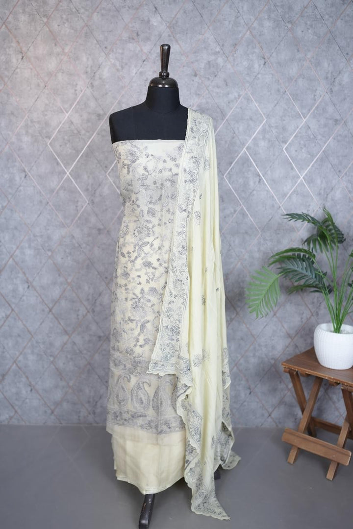 Organza Salwar TSS3611