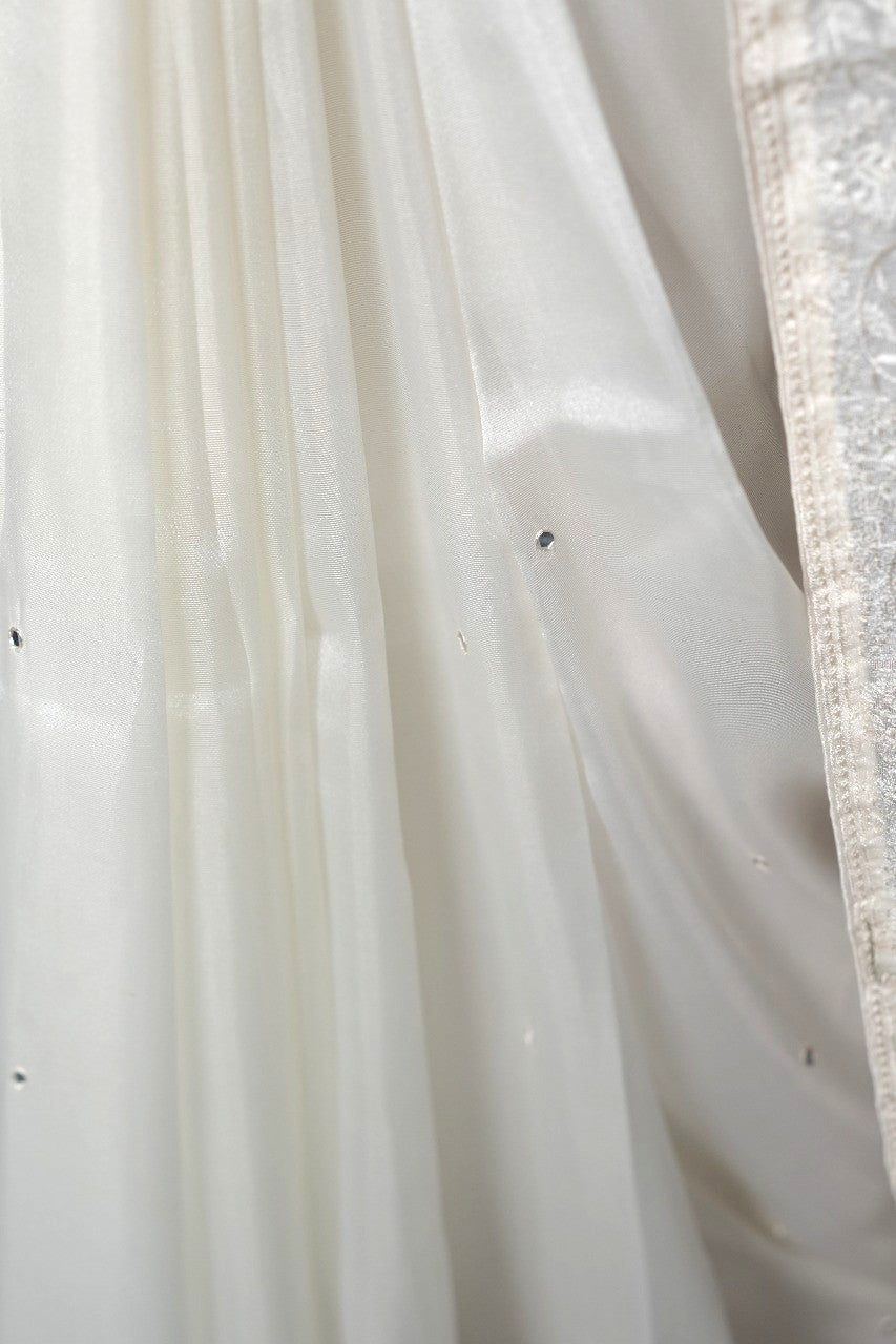 Tissue Organza Saree TSA3619