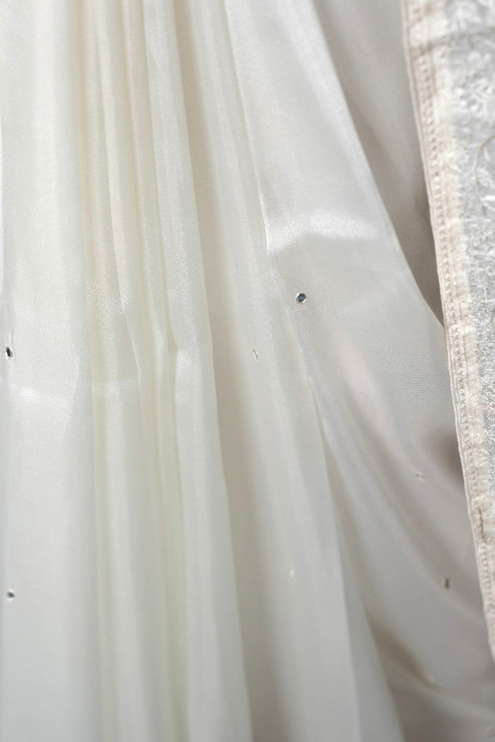 Tissue Organza Saree TSA3619