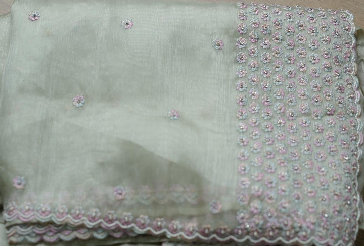 Tissue Organza Saree TSA3634