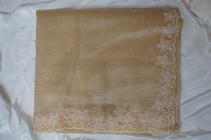 Crushed Organza Saree TSA3794