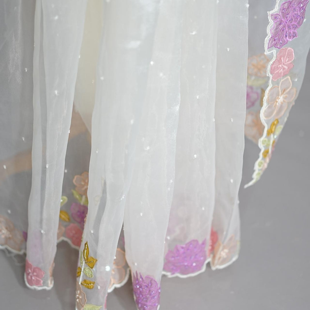 Glass Organza Saree TSA3819