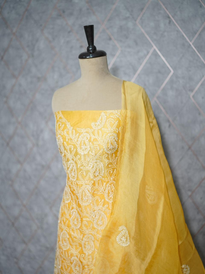 Organza Salwar TSS3836