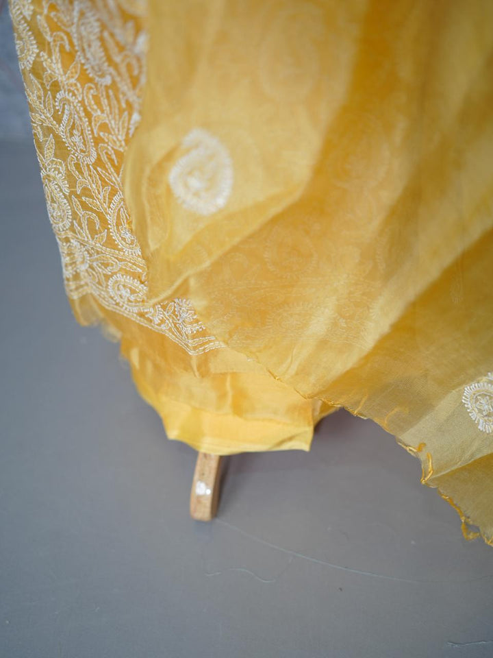 Organza Salwar TSS3836