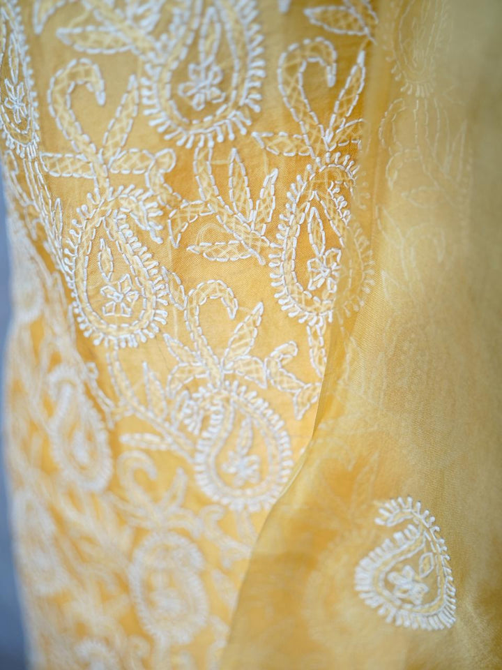 Organza Salwar TSS3836