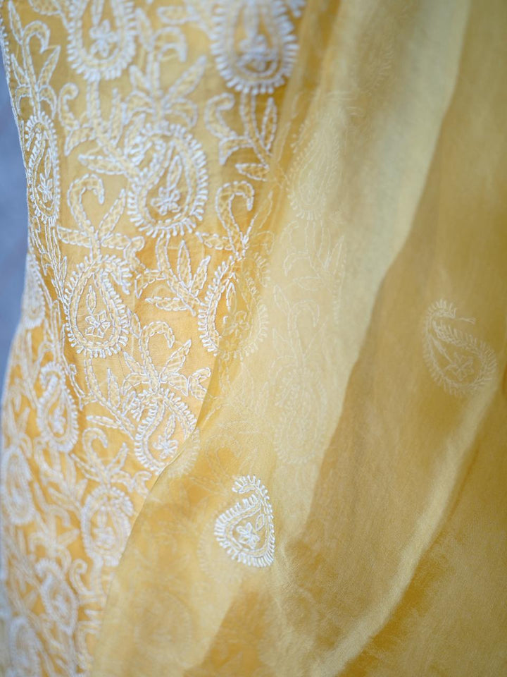 Organza Salwar TSS3836