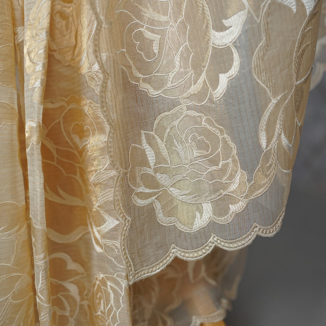 Tissue organza Saree TSA3893