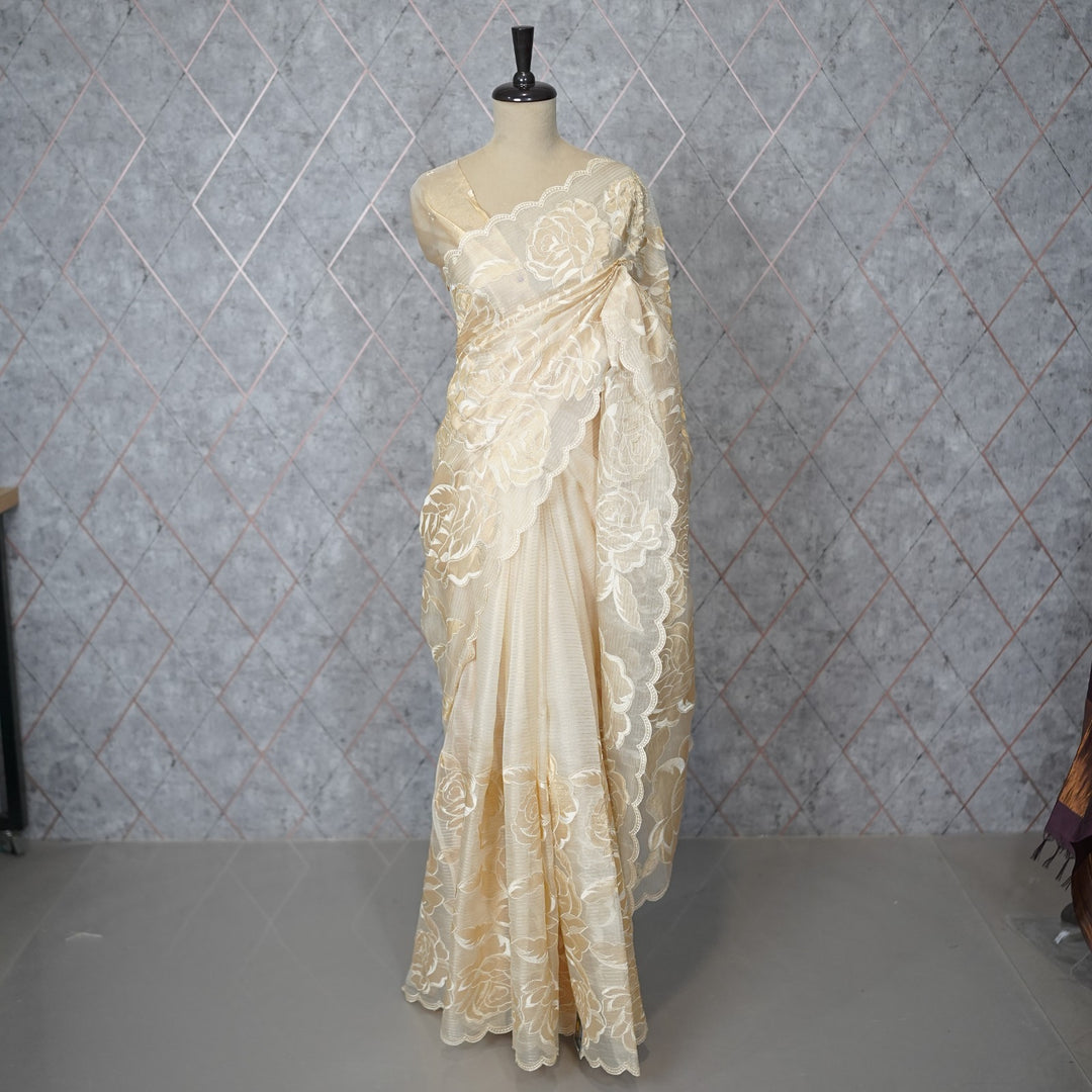 Tissue organza Saree TSA3893