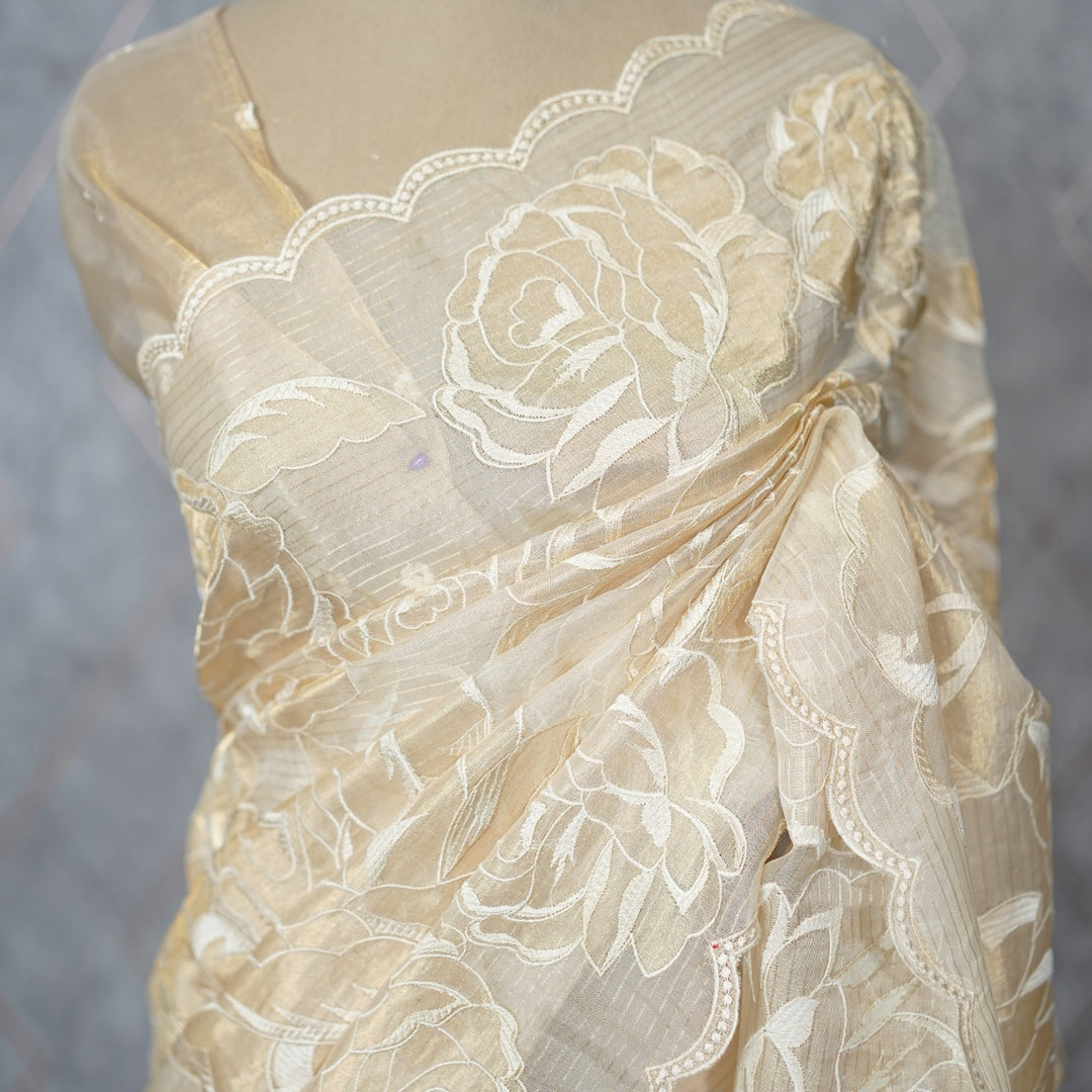 Tissue organza Saree TSA3893