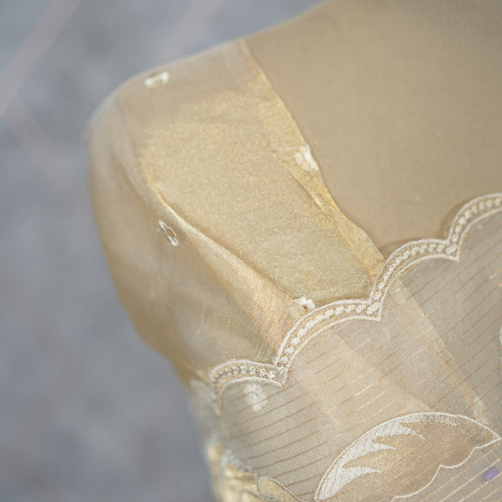 Tissue organza Saree TSA3893