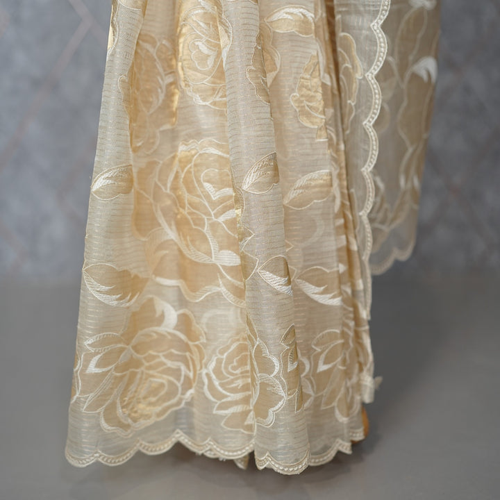 Tissue organza Saree TSA3893