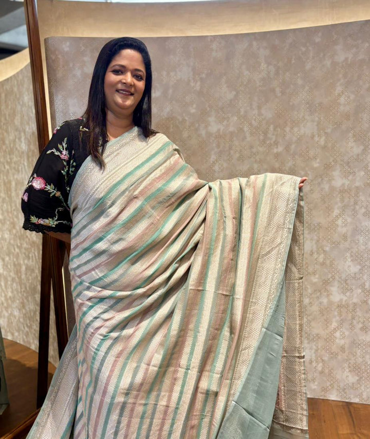 Banarasi Georgette Saree TSA3947