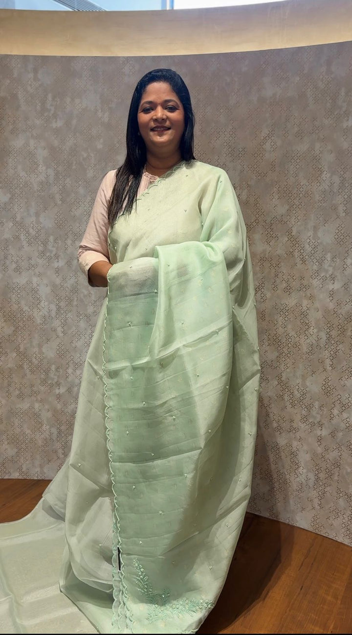Organza Saree TSA3976