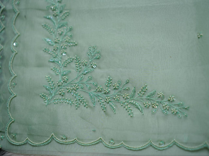 Organza Saree TSA3976