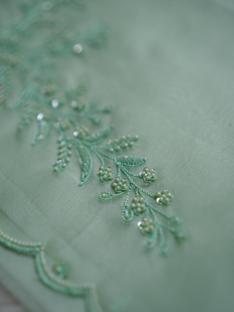 Organza Saree TSA3976