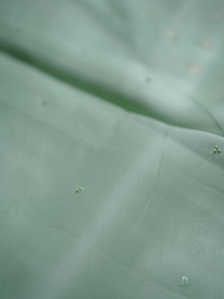 Organza Saree TSA3976