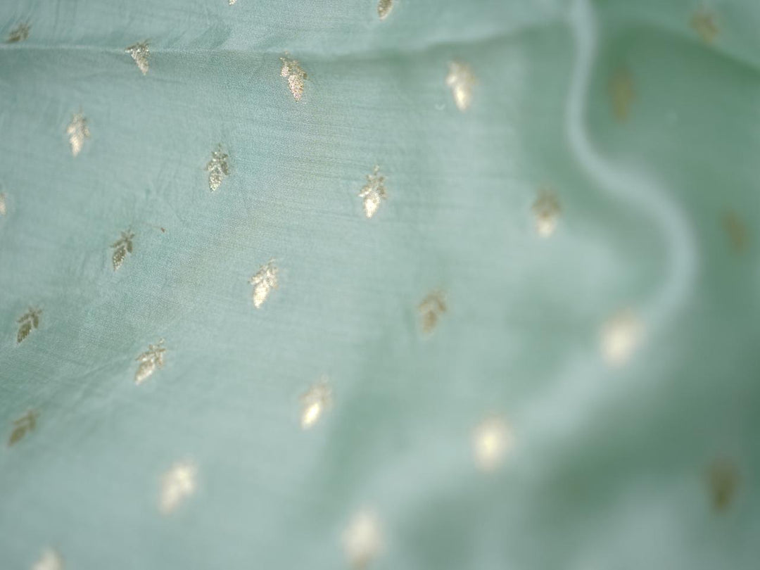 Organza Saree TSA3976