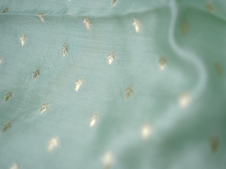 Organza Saree TSA3976