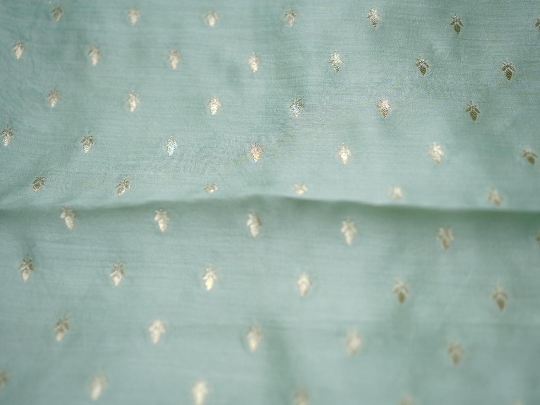 Organza Saree TSA3976