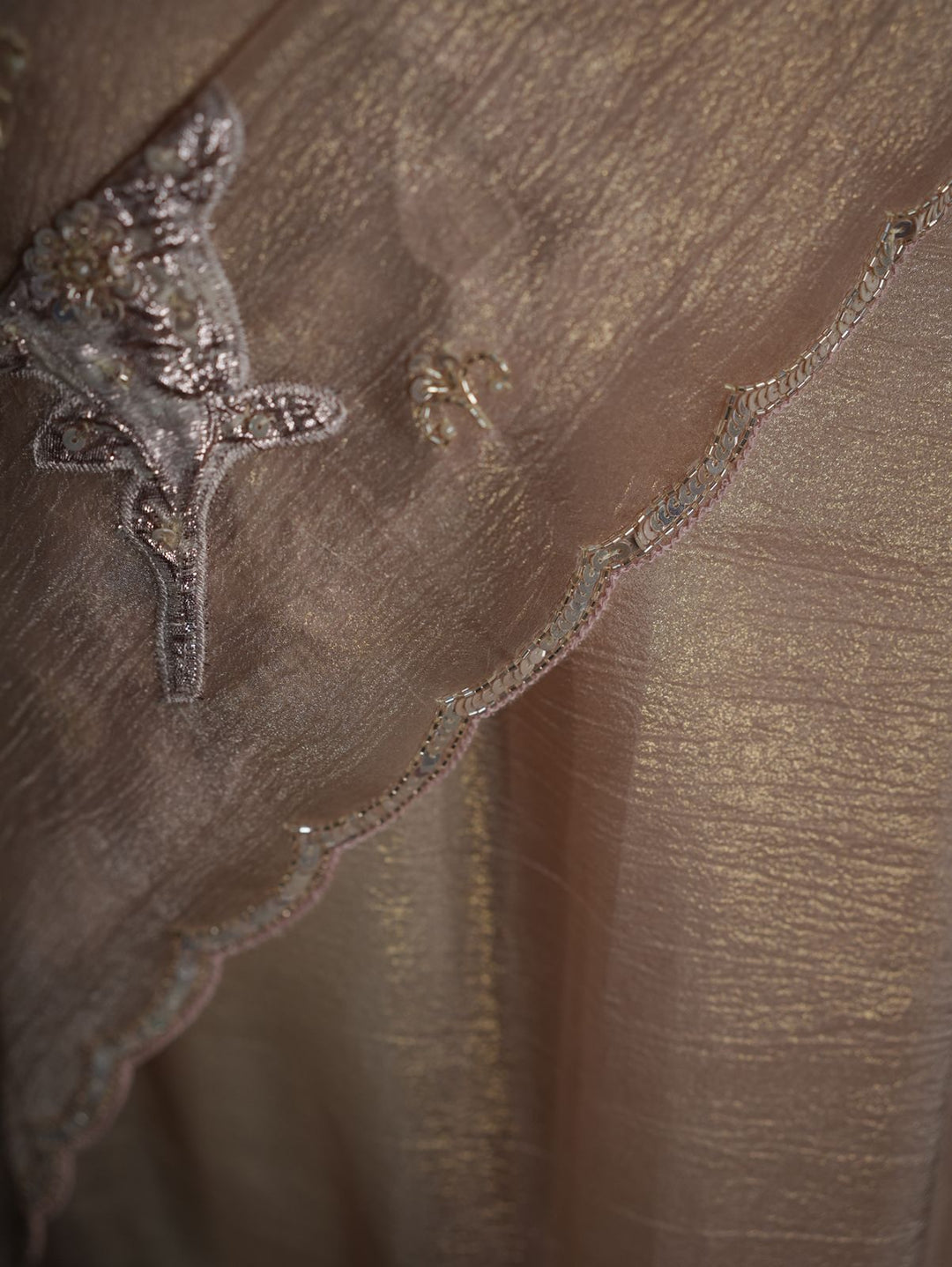 Turkish Organza Saree TSA3987