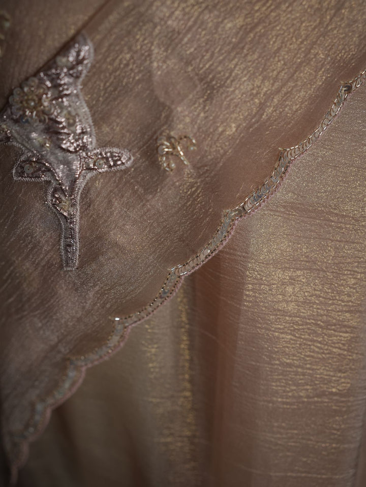 Turkish Organza Saree TSA3987