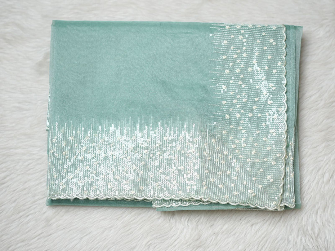 Organza Saree TSA3991