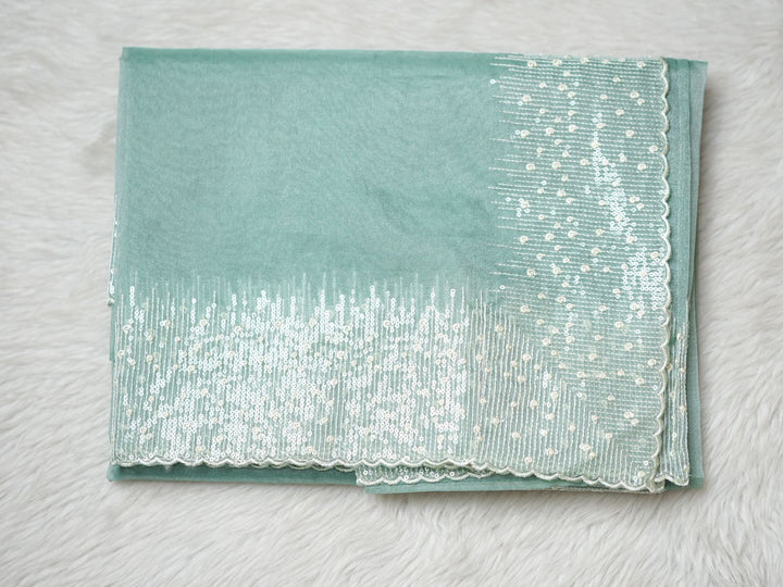 Organza Saree TSA3991