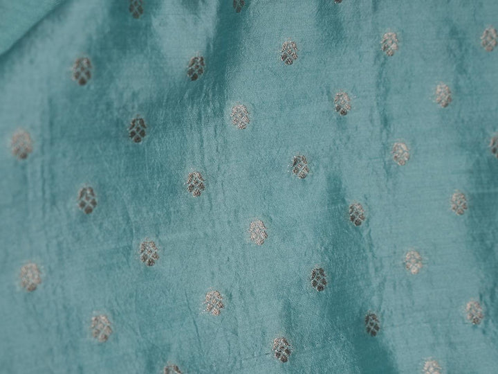 Organza Saree TSA3994