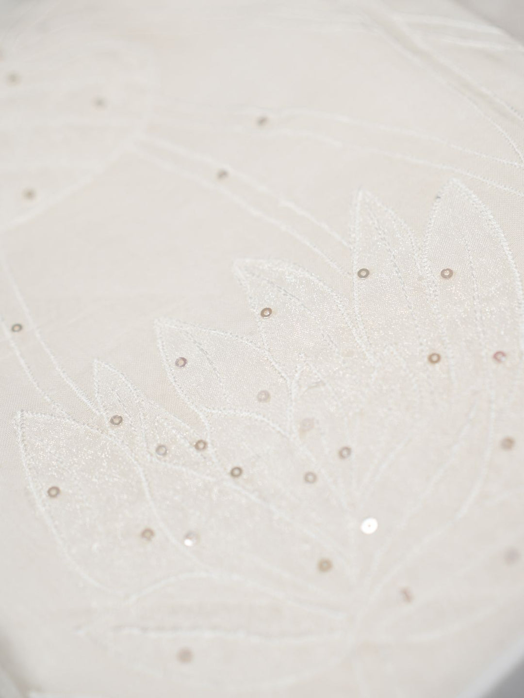 Organza Salwar TSS4007