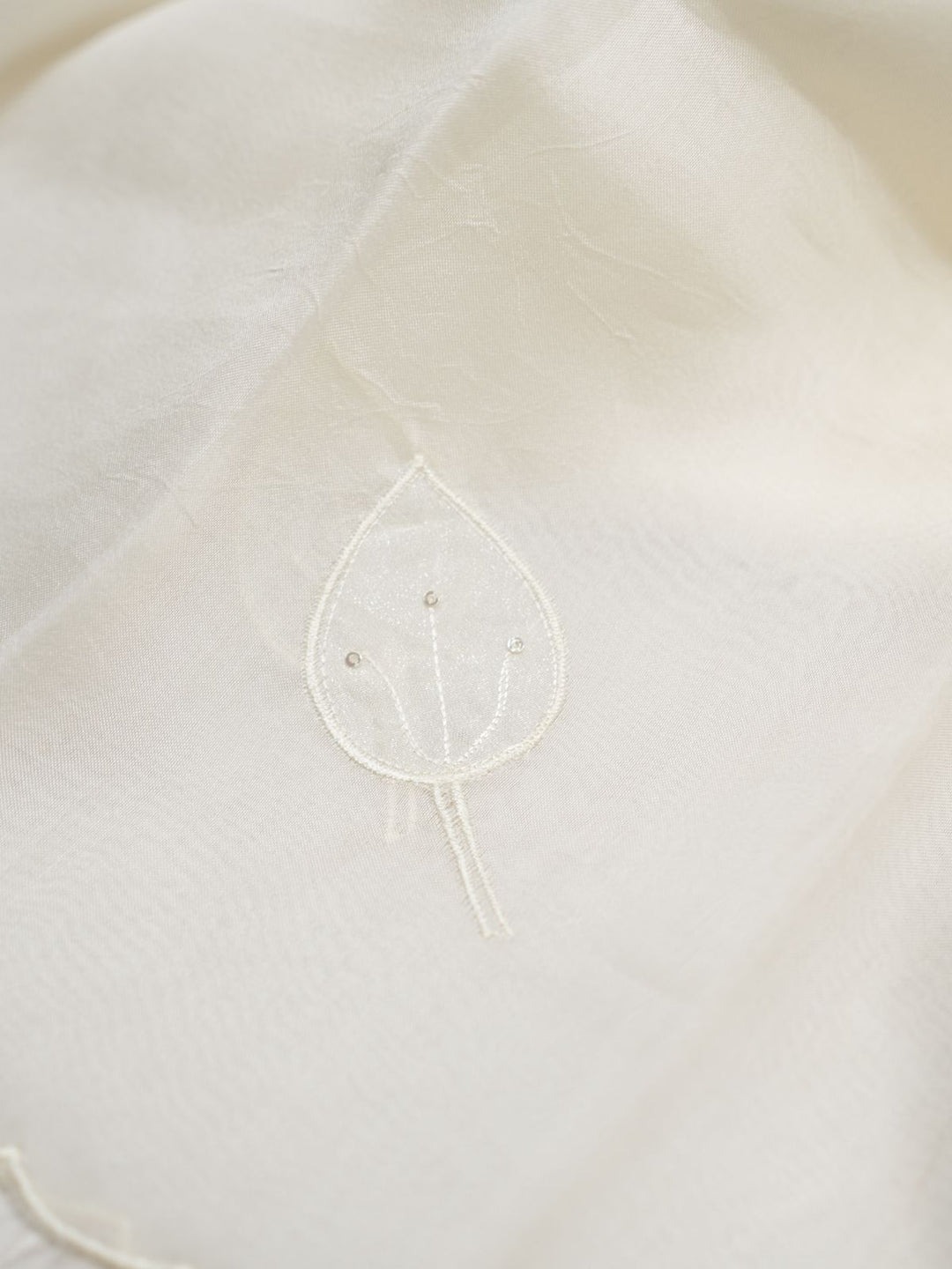 Organza Salwar TSS4007