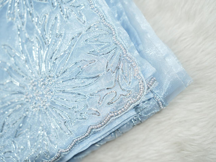 Organza Saree TSA4022